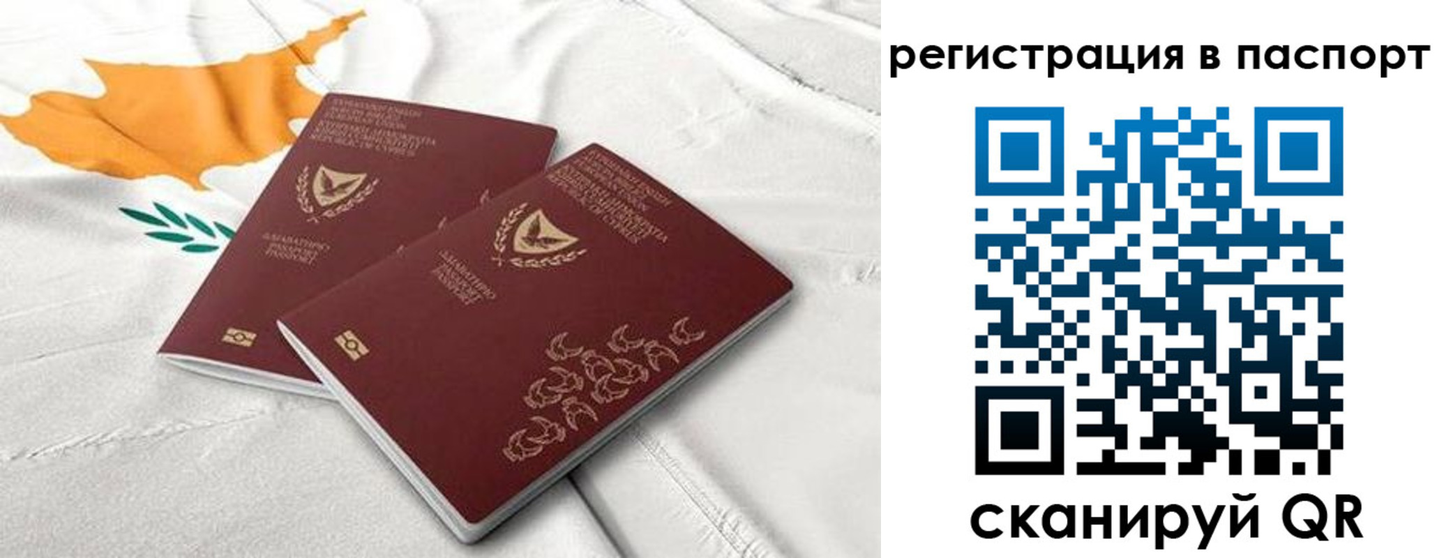 прописка штамп в Димитровграде